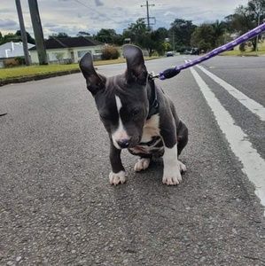 Meet your Posher, Okeroa